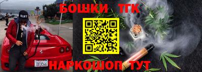 spice Кинель