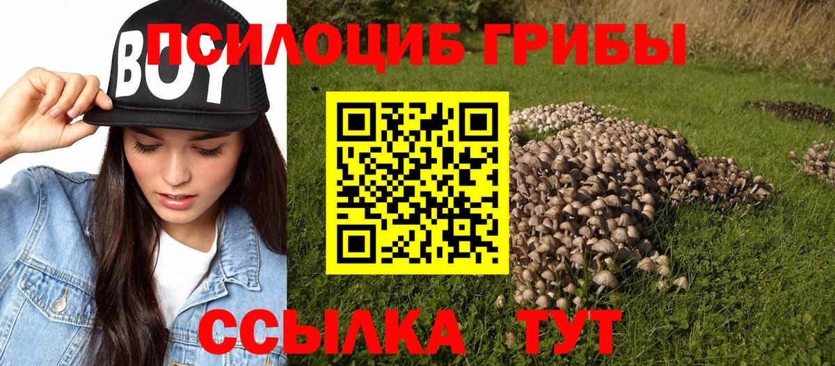 Галлюциногенные грибы MAGIC MUSHROOMS Красный Сулин
